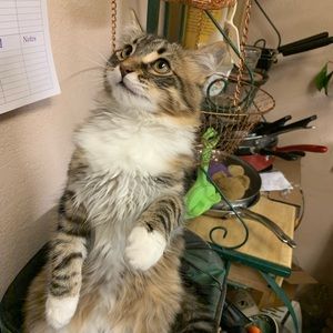 Meet your Posher, Kathy